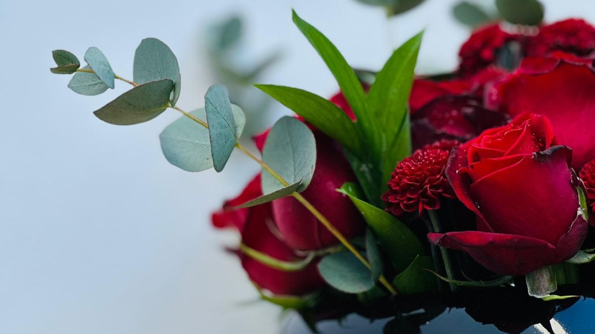 Palavras dos editores: memórias de afetos